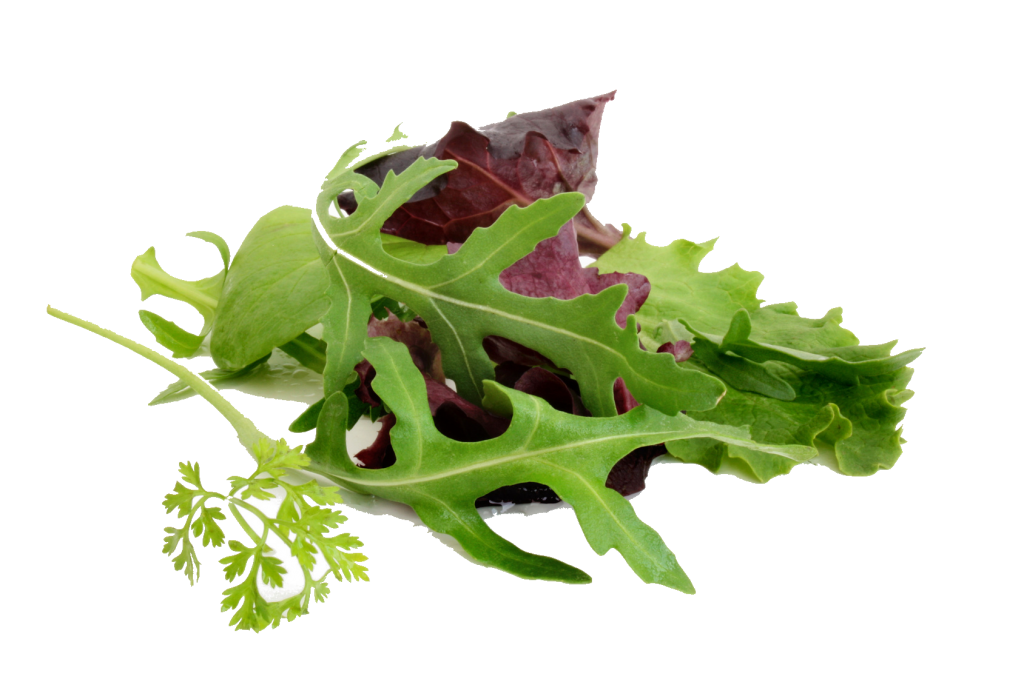 fotolia_21731282_m_mesclun_detoure